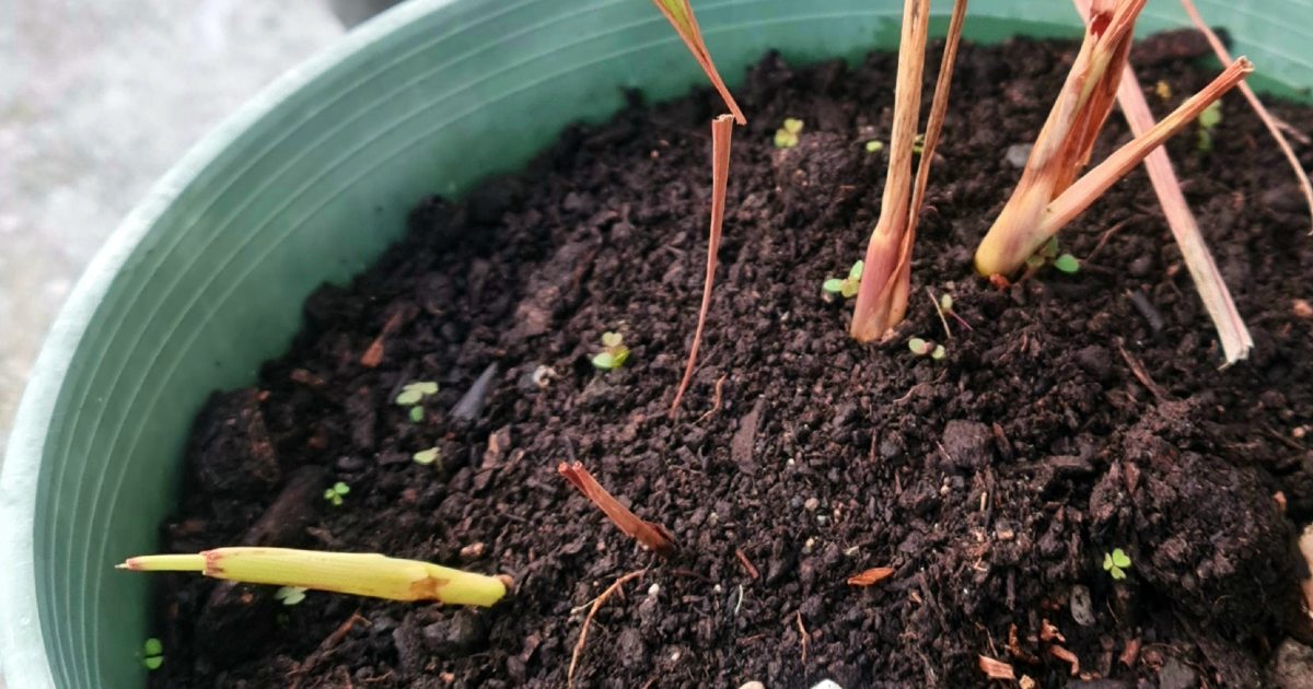 reaping results in God's time