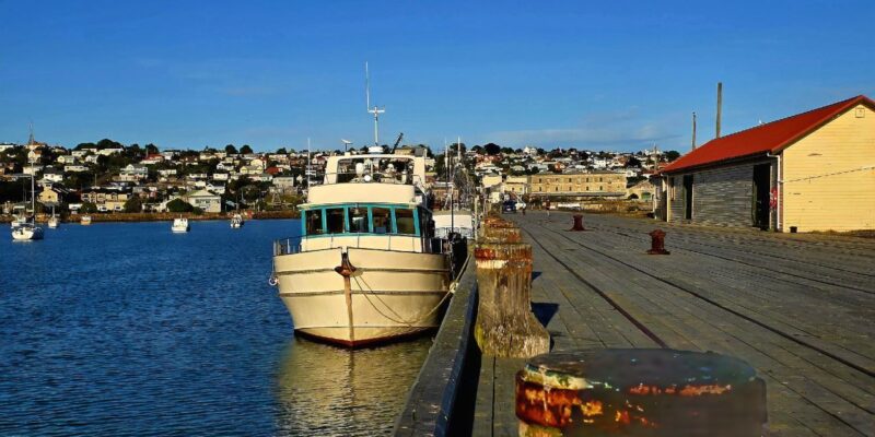 breaking free from fear oamaru